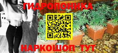 ешки Заволжье