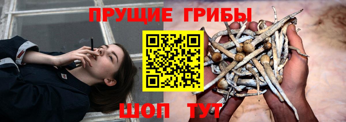 Луховицы  где купить наркоту  Вход с VPN  Псилоцибиновые грибы мухоморы 